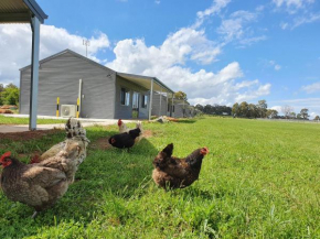 Wilkens Estate Farmstay- Country experience with modern conveniences, cooling, heating, free WIFI and pet friendly